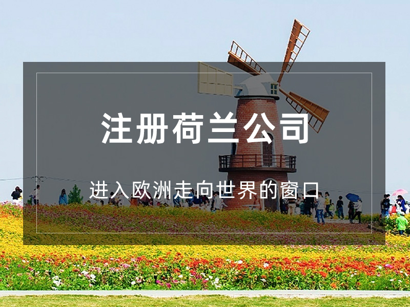 荷兰公司注册